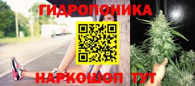 мдпв Рыбинск