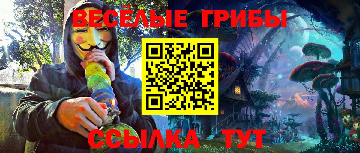 Псилоцибиновые грибы Psilocybe  Псилоцибиновые грибы Cubensis  Вход с VPN  Рассказово 